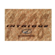 Oldsmobile Intrigue 1998 manual cover