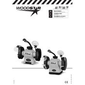 Woodstar GG 76 3903104000 Angle Grinder manual cover