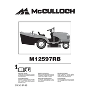 McCulloch M12597RB