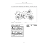 Triumph Daytona 600 2004 Motorcycle manual cover