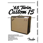 Fender 65 Twin Custom 15 21-73000-010 120V 60Hz USA Amplifier manual cover