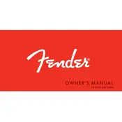 Fender 2013 Bass Guitar manual cover