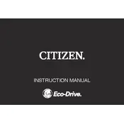 Citizen E870 Watch
