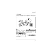 Triumph Tiger 1050 ABS SE 2009 Motorcycle manual cover