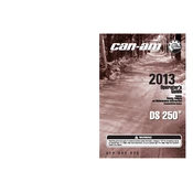 Can-Am DS 250 2013 Vehicle manual cover