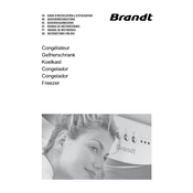 Brandt UFA1101E Freezer manual cover