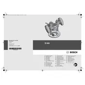 Bosch 0 601 60A 800 Accessories manual cover