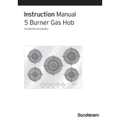 Sandstrom S5GONGB13 manual cover