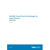 Dell PowerProtect 19.6 Data Manager