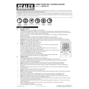 Sealey SM100.V2 Sander manual cover