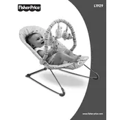 Fisher Price Mattel Soothe n Play L1929 Bouncer manual cover