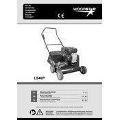 Woodstar LS40P 3911901952 Scarifier manual cover