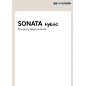 Hyundai Sonata Hybrid 2021 Sedan manual cover