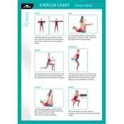 Crane Stretch Band manual cover