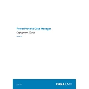 Dell PowerProtect 19.6 Data Manager