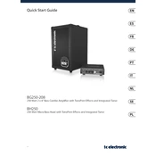 TC Electronic BG250-208