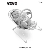 Fisher Price Mattel Comfy Time T2517 Bouncer manual cover