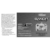 Radica Mattel GameCube Bandit I1105 Toy manual cover