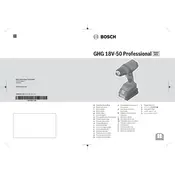 Bosch 0 601 2A6 500 Gun