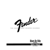 Fender Blues DeVille 212 21-3100 120V Amplifier manual cover