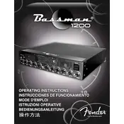 Fender Bassman 1200 021-3302-010 120 V 60 Hz US Amplifier manual cover