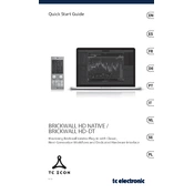 TC Electronic BRICKWALL HD NATIVE