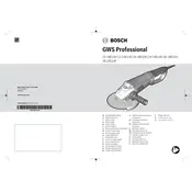 Bosch 0 601 891 C60 Grinder manual cover