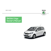 Škoda Citigo 2013 Car manual cover