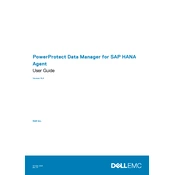 Dell PowerProtect 19.6 Data Manager