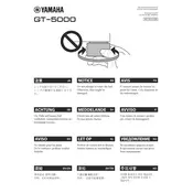 Yamaha GT-5000 Turntable