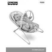 Fisher Price Mattel Comfy Time T2522 Bouncer manual cover