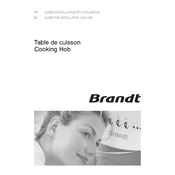 Brandt TE560FF1 Hob manual cover