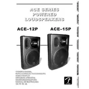 Fender ACE-12P 0715112930 240V 50Hz AUS Speaker manual cover