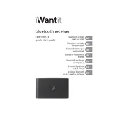 iWantit i30BTRE12X manual cover