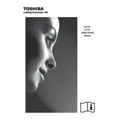 Toshiba 19AV703 TV manual cover