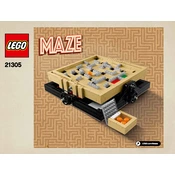 LEGO 21305 Construction Set manual cover