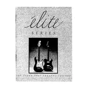 Fender Stratocaster Elite Guitar manual cover