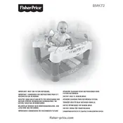 Fisher Price Mattel Step N Play BMK72 Swing manual cover