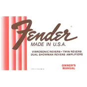 Fender Dual Showman Reverb 1981 Amplifier manual cover