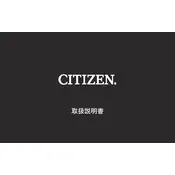Citizen E610 Watch