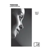 Toshiba 19AV613D TV manual cover