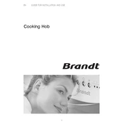 Brandt TI1013B Hob manual cover