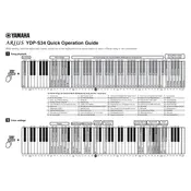 Yamaha Arius YDP-S34 Piano