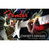 Fender 2011 Guitar Guitar manual cover