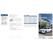 Hyundai Ioniq EV 2021 Electric Car manual cover