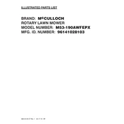 McCulloch M53-190AWFEPX