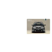 Škoda Fabia 2004 Car manual cover