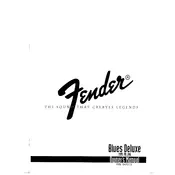 Fender Blues Deluxe 21-3102 120V Amplifier manual cover