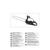 Poulan Pro 610 P.U.O 95390037100 Chainsaw manual cover