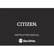 Citizen E660 Watch